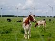 Bronckhorst heeft meer windmolens nodig om klimaatdoelen te halen.