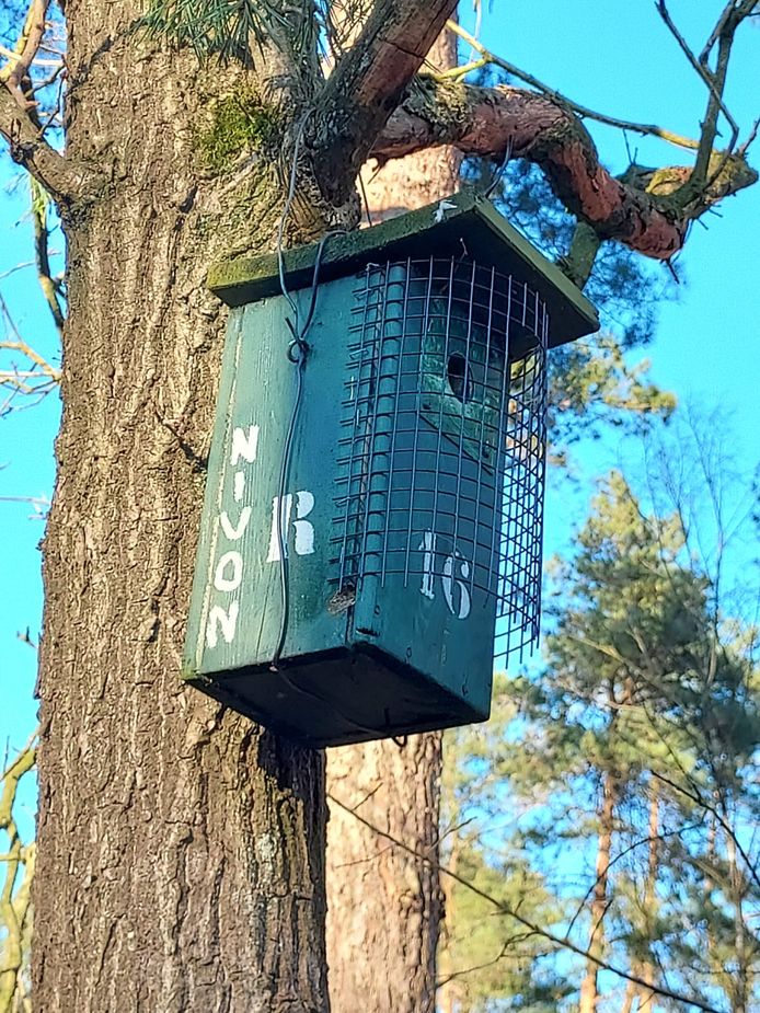 Een nestkastje van de Vogelwerkgroep Nivon Goor.