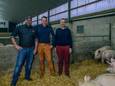 Slager Bart Vuylsteke van Meat met landbouwers Pieter en Erik Van Wilderode.