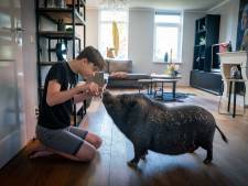 Wie heeft er een bijzonder huisdier? Laat het ons weten!