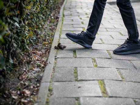 We hebben last van hondenpoep, hardrijders en troep, maar niemand belt het door