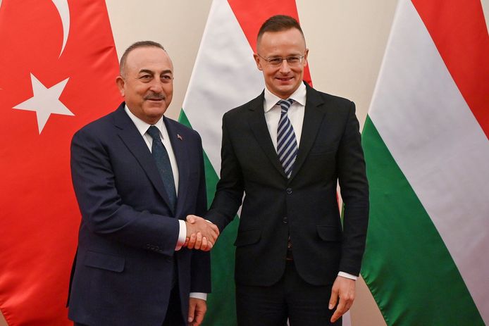 De Hongaarse minister Peter Szijjarto (rechts) en zijn Turkse collega Mevlut Cavusoglu zijn het voorlopig eens over NAVO-lidmaatschap van Zweden.