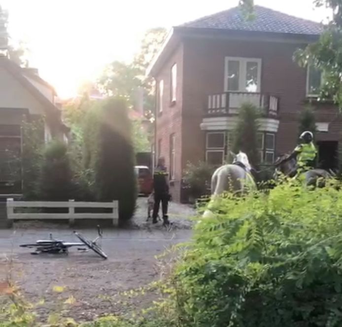 De politie ging met een politiehond en paarden op zoek naar de gevluchte man in Apeldoorn.