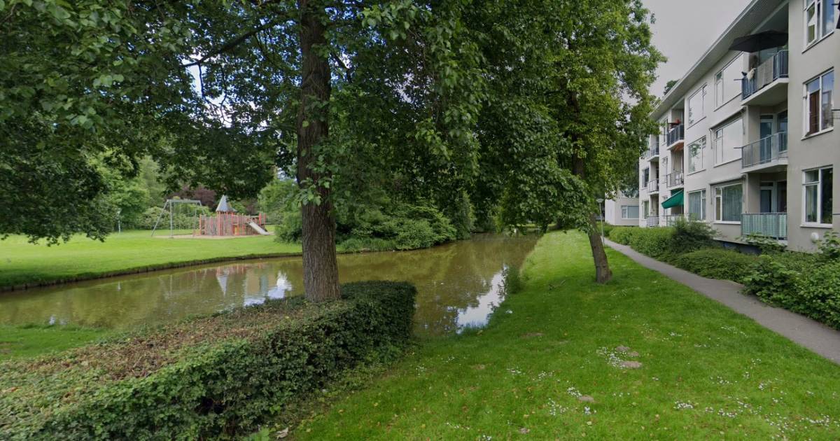 Wielwijk krijgt een heus zomerfestival: ‘Met muziek, dans en workshops’ | Dordrecht