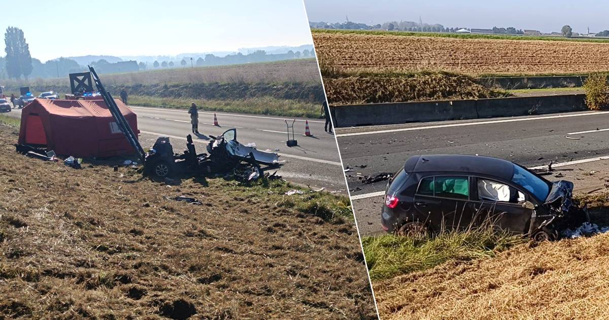 Spookrijder veroorzaakt zwaar ongeval in België: vader overleden, moeder en tweeling naar ziekenhuis.
