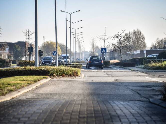 Heraanleg slechtste straat van Hamme krijgt verder vorm: “Eind juni nog participatiemoment met inwoners”