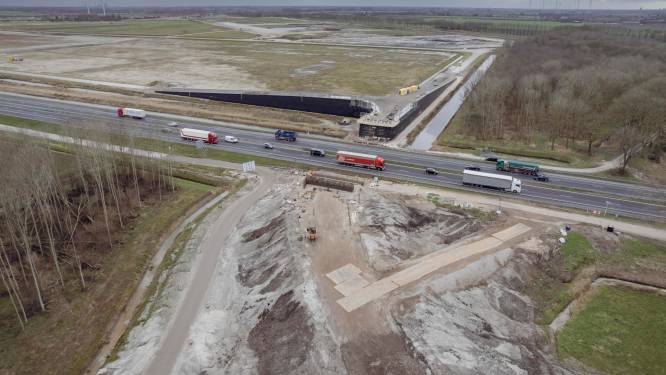 Havenbedrijf Moerdijk haalt Lidl over voor Logistiek Park, maar bouwen is er voorlopig niet bij