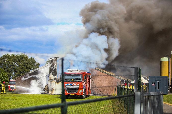 De grote stalbrand aan de Pijlstaartweg in Asten.