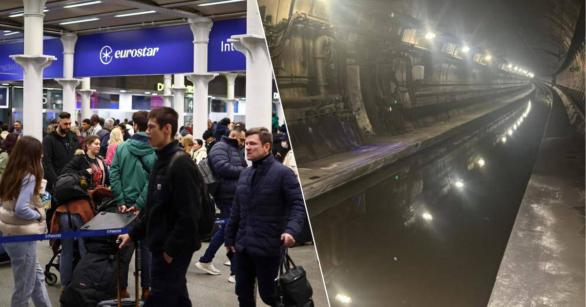 No Eurostar trains to and from London due to flooded tunnel: 'We hope to be home for the New Year' |  Instagram VTM News