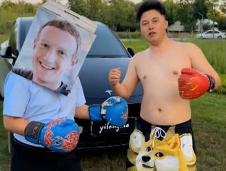KIJK. Dubbelganger Elon Musk post hilarische boksvideo met ‘Zuckerberg’