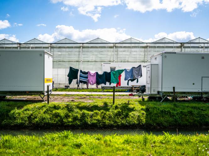 Woonpark voor honderden arbeidsmigranten vlak bij Arnhem krijgt steeds meer vorm: dit moet je er over weten