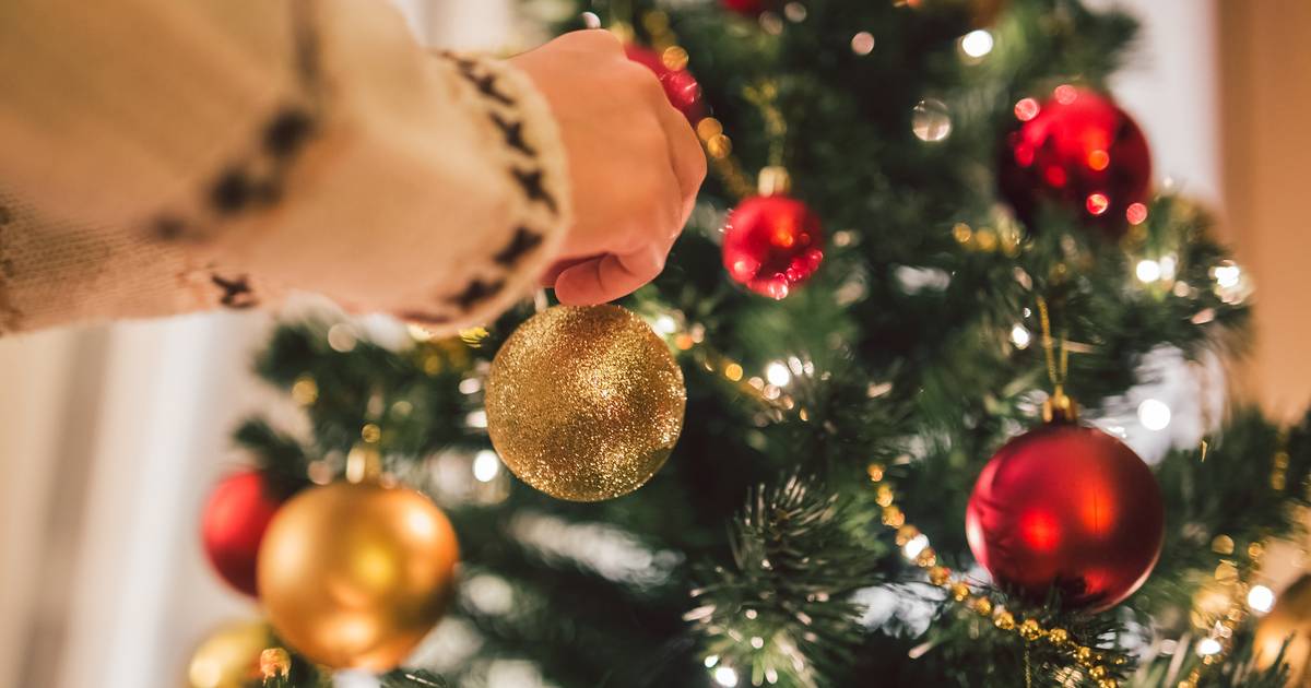 Blind Onenigheid Latijns PROMOJAGERS SUPERTIP: hier kun je kerstbomen kopen aan straffe prijzen |  Consument | hln.be