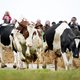 Woensdag 1 april: dit is vandaag belangrijk