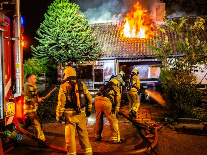 Man (32) gooit zwaar vuurwerk door brievenbus in ’s Heerenberg: bewoner is niet thuis, kat komt om in vuur