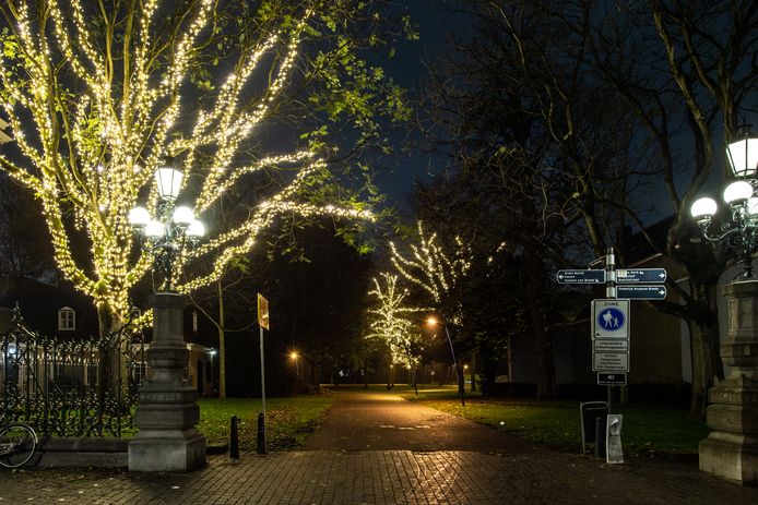 Verlichte bomen in park Valkenberg Breda.