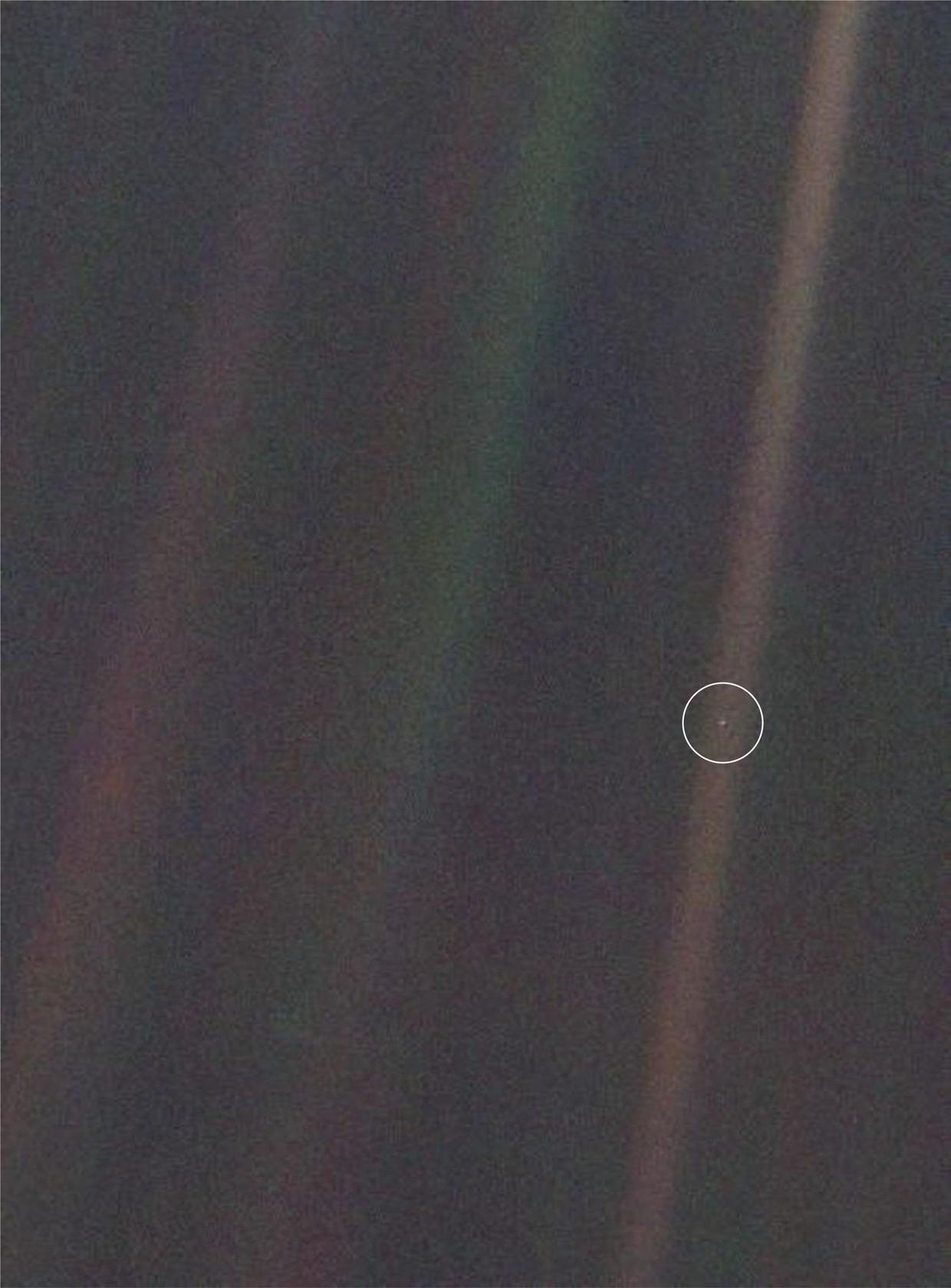 Deze foto van de aarde werd genomen op 14 februari 1990 door Voyager 1, op 6,4 miljard kilometer afstand. De strepen die je ziet, zijn zonlicht dat weerkaatst in de camera. Onze thuisplaneet is op deze foto slechts 0,12 pixels groot. De foto werd een symbool voor de menselijke nietigheid.