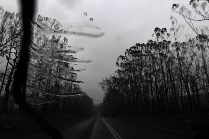 Regen in de buurt van Nowra, NSW.