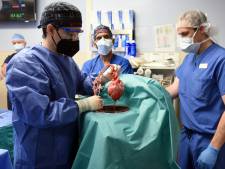 Chirurgen transplanteren met succes varkenshart bij patiënt (57) in laatste poging om zijn leven te redden