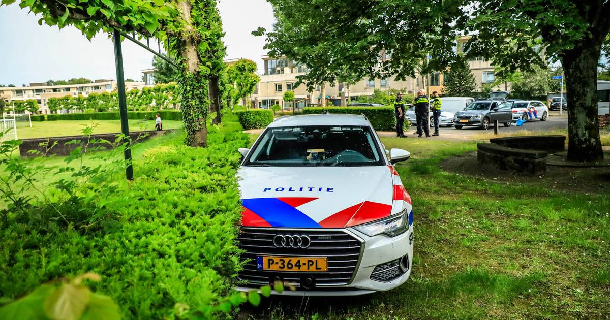 Politieauto in de bosjes, agenten met kogelwerende vesten en de heli in de lucht: klopjacht op autod