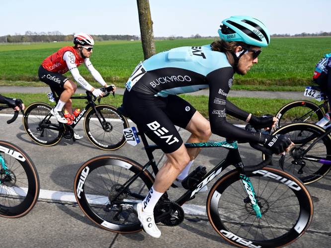 KIJK. Van der Poel noemt Scheldeprijs "perfecte voorbereiding" op Roubaix, ondanks vervelend moment door vogel: "Nog nooit meegemaakt”