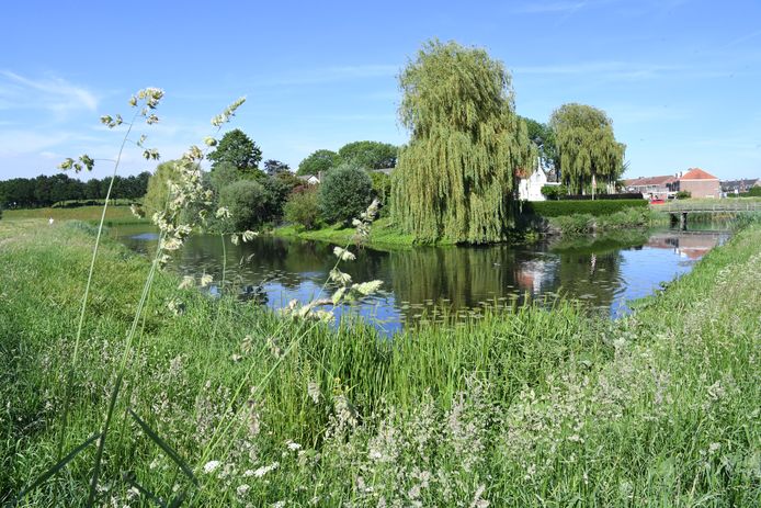 Hoe idyllisch het plaatje nu ook kan zijn, de Veste in Geertruidenberg heeft zowat elke zomer overlast van blauwalgen. Volledig uitroeien wordt te duur, stelt het college.
