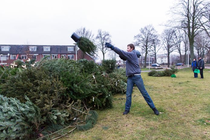 Op verschillende plekken in het land worden kerstbomen centraal ingeleverd om vervolgens te worden afgevoerd.