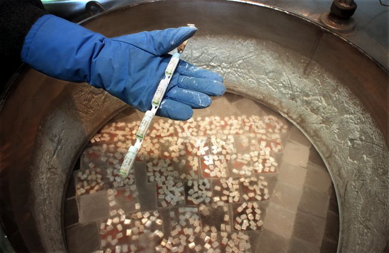 Flacons met gedoneerd zaad worden bewaard in de California Cryobank in Westwood.  Beeld Getty Images