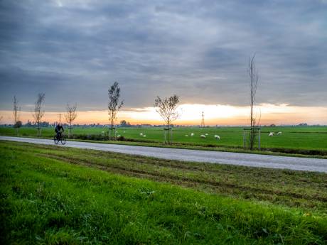 Onderzoek zet dikke streep door tijdelijke woningen polder Rijnenburg: ‘Kost te veel geld en tijd’