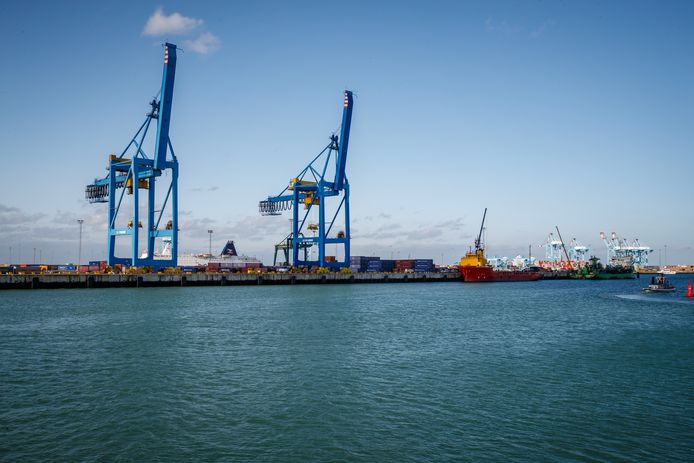 Onder meer de haven van Zeebrugge werkt mee aan het project.