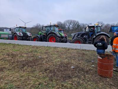 Rijsbergse melkveehouder bij wegblokkades: ‘Regels raken kant nog wal, maar de boer recht in het hart’