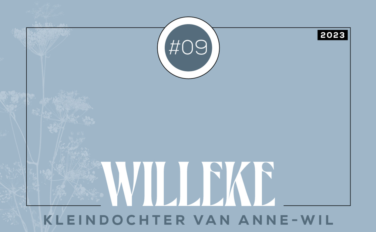 null Beeld 