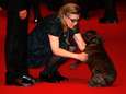 Controverse rond hondje Carrie Fisher, familie is radeloos: "Stop alsjeblieft met het verpesten van haar herinnering" 