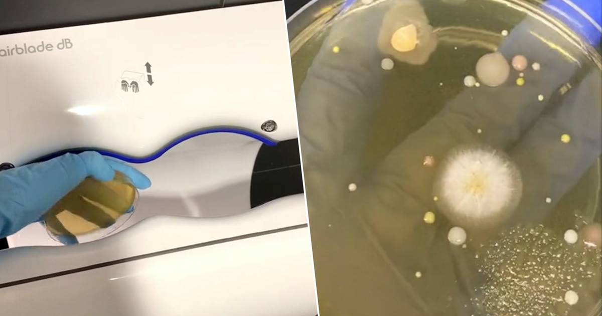 KIJK. Viraal filmpje van laborante toont hoeveel bacteriën er in ...