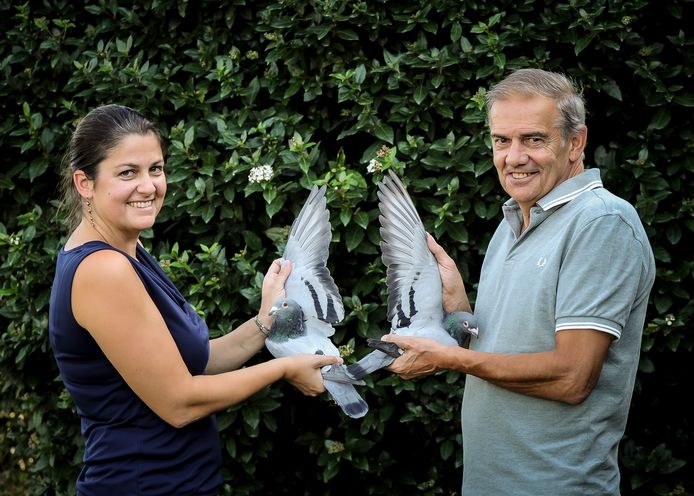 Ilse en Gaby Vandenabeele, de strafste duivenmelkers van Vlaanderen.