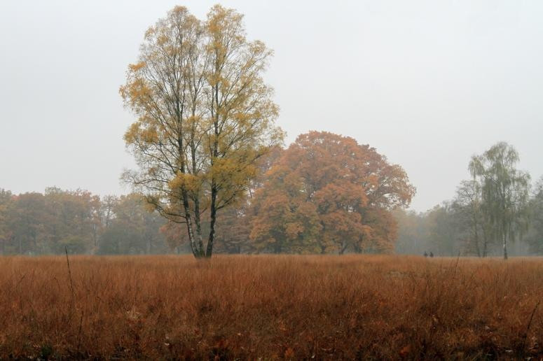 Arnhemse ingang Hoge Veluwe gaat dicht Foto gelderlander.nl