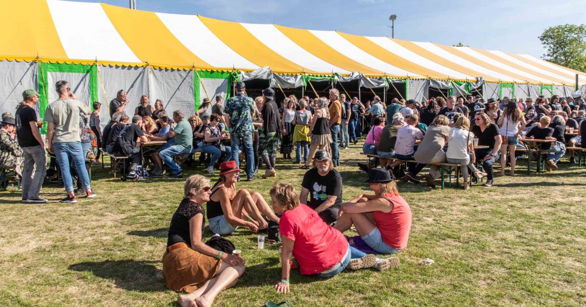 Bijna uitverkocht Bluesfestival Kwadendamme trekt The Cinelli Brothers aan