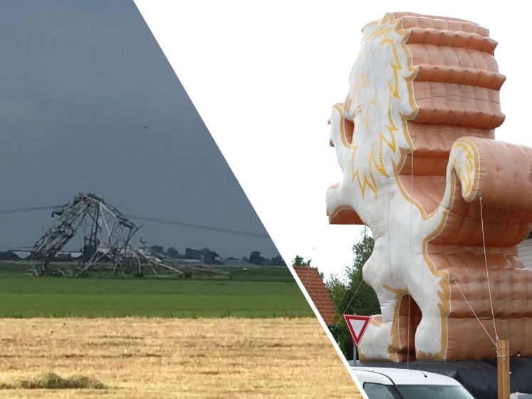 De Stentor Week Update: Omgevallen elektriciteitsmasten en metershoge leeuw