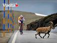 Jurgen Van Den Broeck in het verleden op stage op de Sierra Nevada.