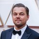 DiCaprio ziet geld in Nederlands vlees en ander economisch wereldnieuws