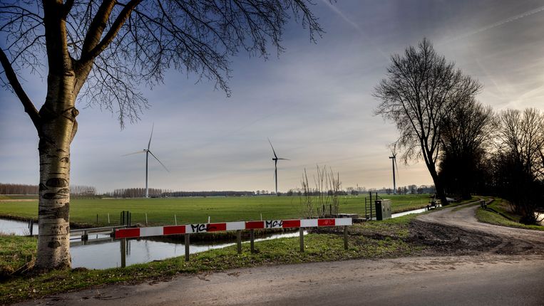 Gemeenten willen liever zonneweides dan windmolens. Maar zonneweides belasten het elektriciteitsnetwerk veel meer dan windmolens. Beeld Werry Crone