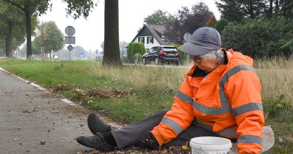 Maria uit Mill raapt 500 kilo eikels in twee weken 'voor extra zuurstof'