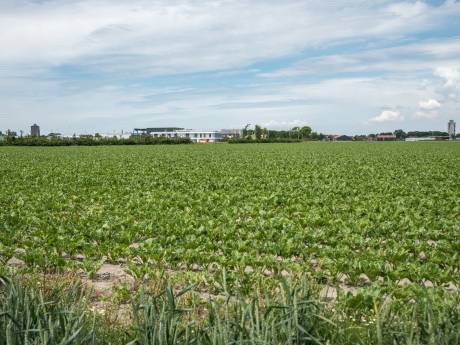 Station Zuidhoekpolder opent in 2026: Zierikzee wil de trein niet missen