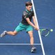 Goffin stoot door in Tokio na zege tegen Feliciano Lopez, Elise Mertens breit geen vervolg aan knappe winst