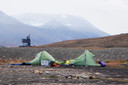 De ijsbeer verraste Job Kootte (39) uit Amsterdam in zijn slaap op de camping bij Longyearbyen.