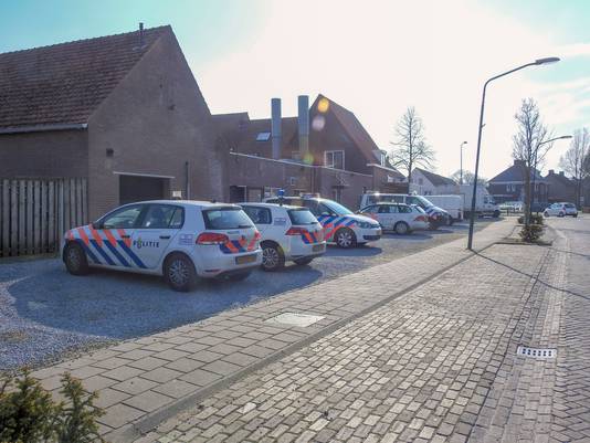Grote hennepkwekerij aangetroffen in wokrestaurant in Mariahout.