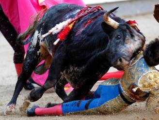 Stier doorboort gezicht debuterende toreador in Spaanse arena: "Wonder dat hij nog leeft"