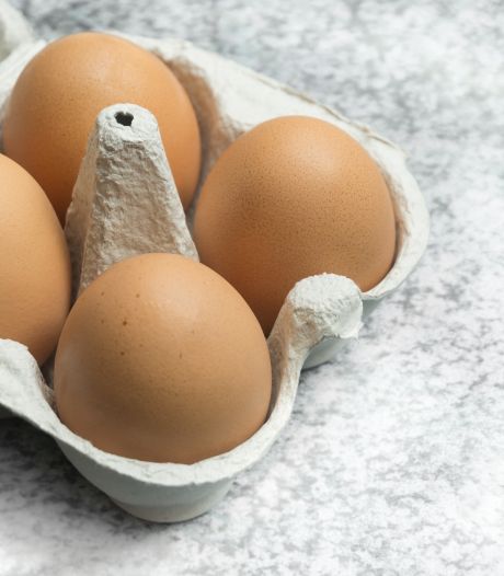 Hoe bewaar je eieren het best?