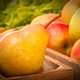 Appelsientje past naam vruchtensap aan