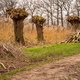 Brabant gaat op slot om de natuur te laten overleven