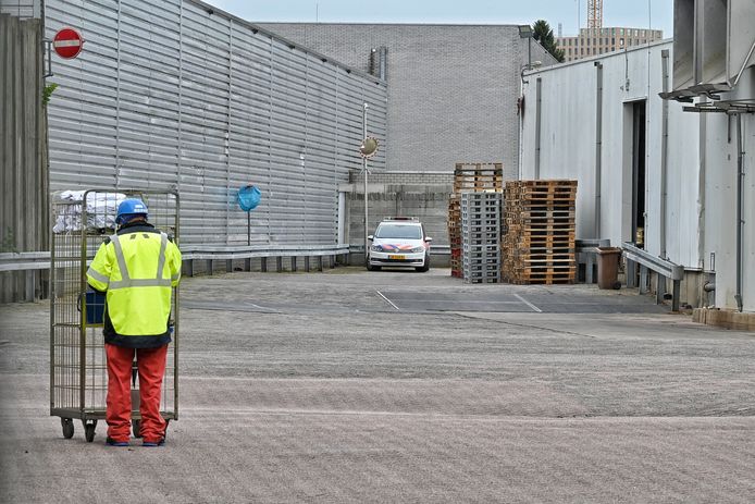 Een medewerker van een slachtbedrijf aan de Enschotsestraat in Tilburg is overleden nadat hij werd aangevallen door een stier.